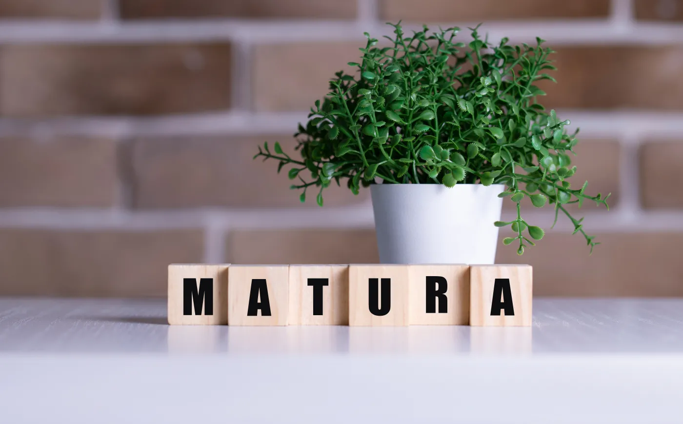 Matura 2027 - informacje